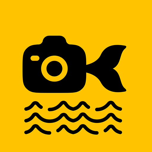 鱼丸水印相机app最新版下载